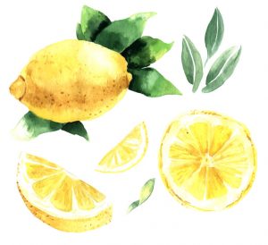 Benefits of lemon | Princeton Nutrients