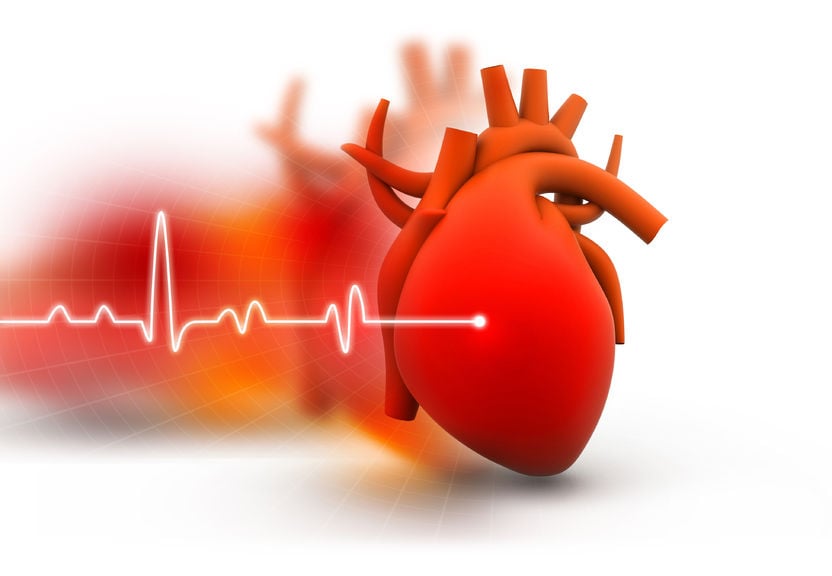 heart health | Princeton Nutrients