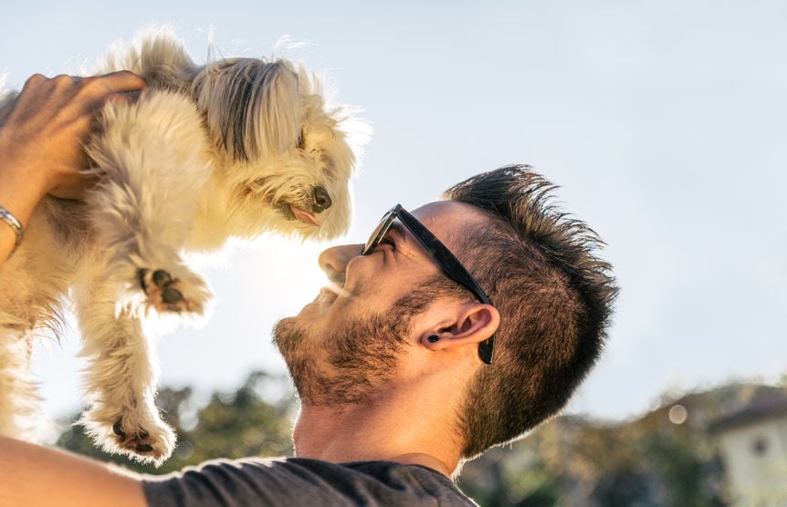 Dog Owners Are Healthier! (6 reasons why)