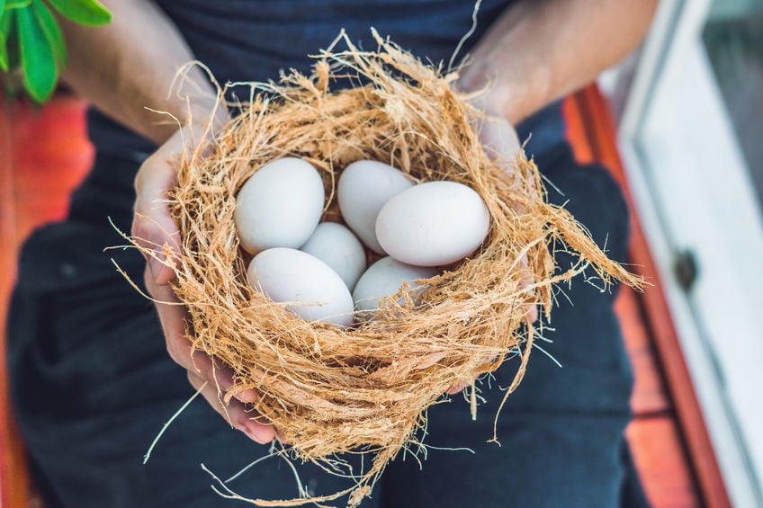 How Much Protein In An Egg? (and why eggs are healthy for you)