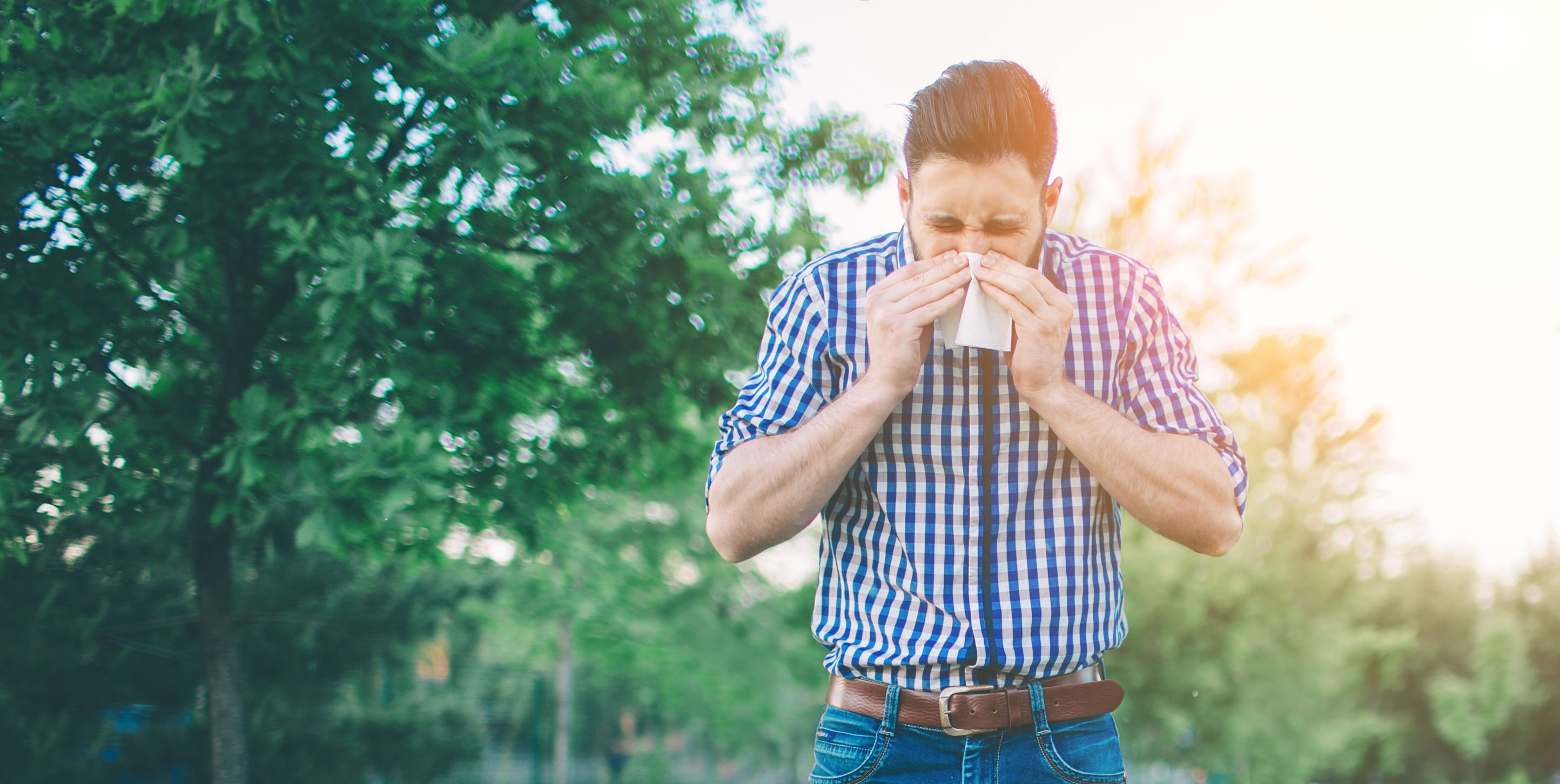 Stop Sneezing | Princeton Nutrients